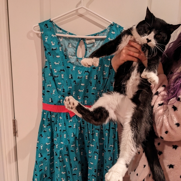 Cat Dress - Picture 5 of 5